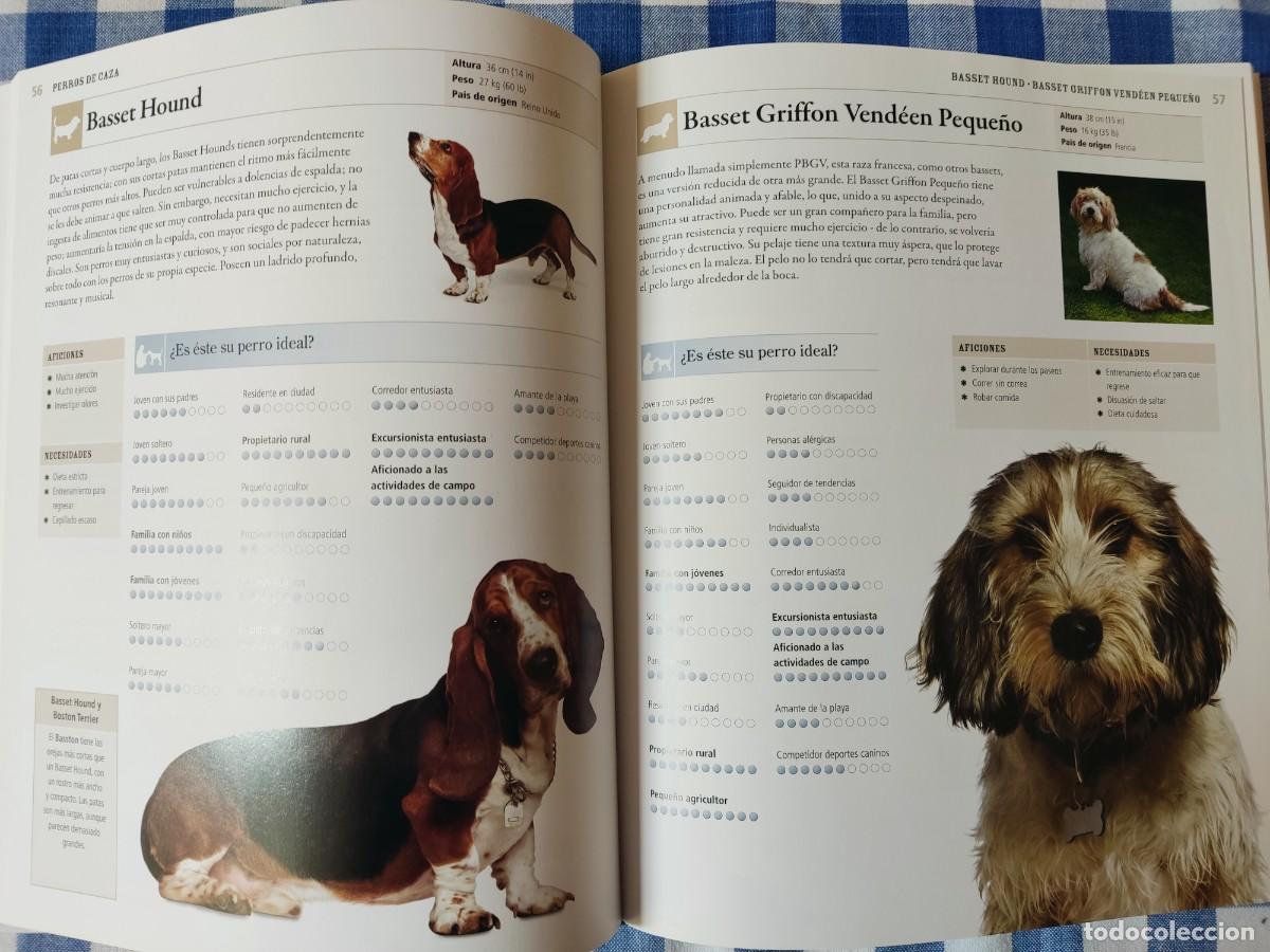 Libros de segunda mano: Libro: tu perro ideal (David Alderton) - Foto 4