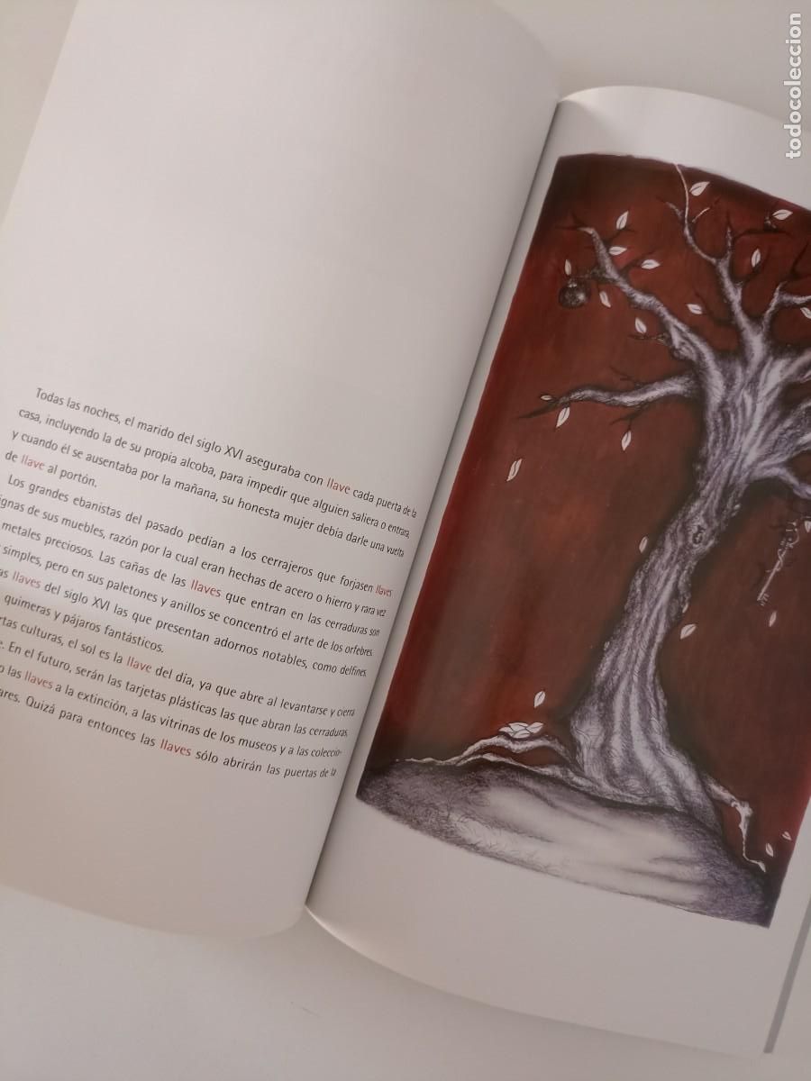 Libros de segunda mano: Godofredo Olivares - Objetos &iquest;conocidos? (Tecolote, M&eacute;xico, 2007) - Foto 6