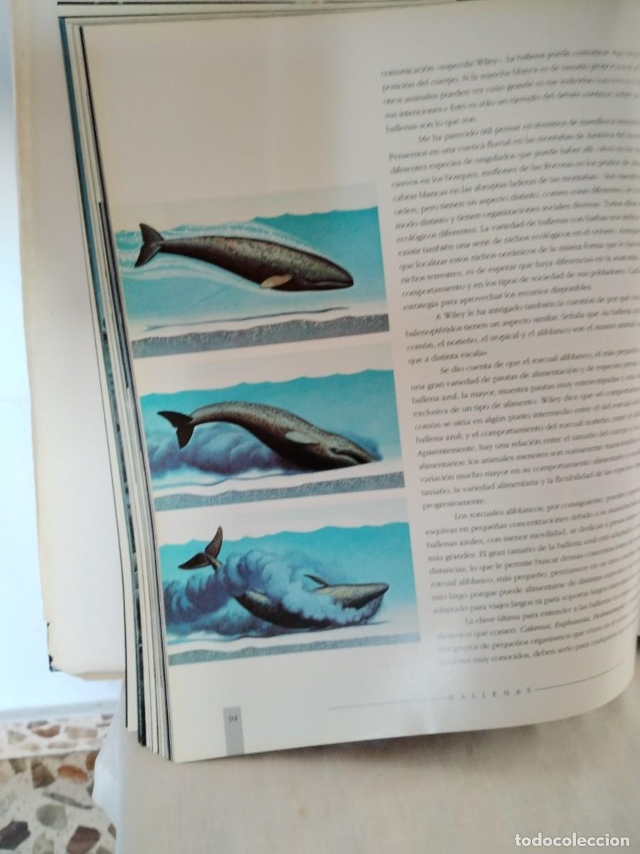 Libros de segunda mano: Colecci&oacute;n Nuevos Horizontes - Foto 5