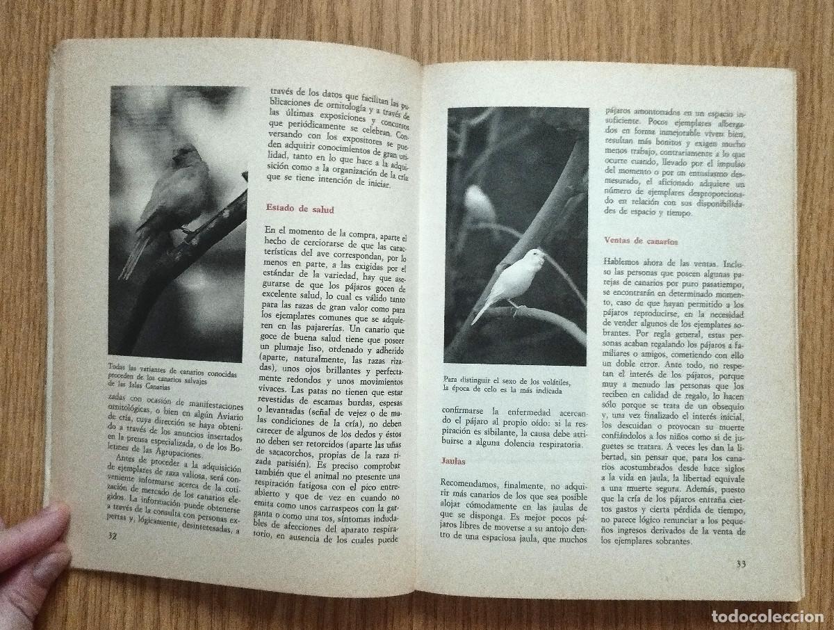 Libros de segunda mano: Libro EL GRAN LIBRO DE LOS CANARIOS - P&Aacute;JARO CANARIO | DE VECCHI | Tenerife / Canarias - Foto 2