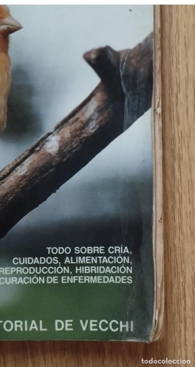 Libros de segunda mano: Libro EL GRAN LIBRO DE LOS CANARIOS - P&Aacute;JARO CANARIO | DE VECCHI | Tenerife / Canarias - Foto 4