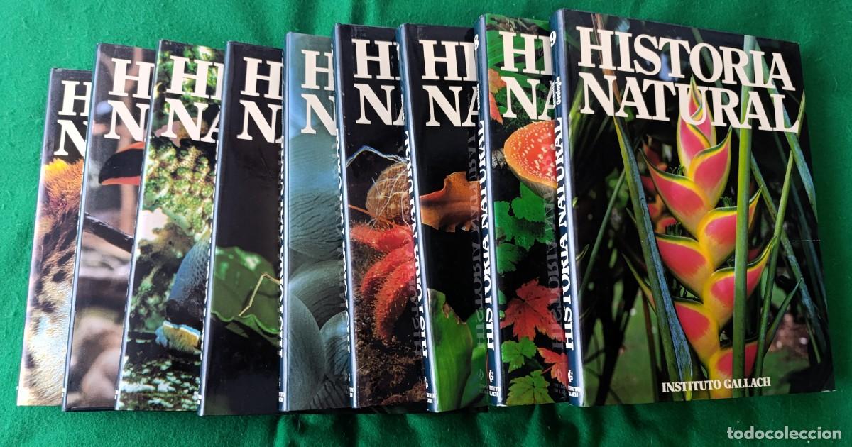Libros de segunda mano: HISTORIA NATURAL - INSTITUTO GALACH - 9 TOMOS - Foto 1