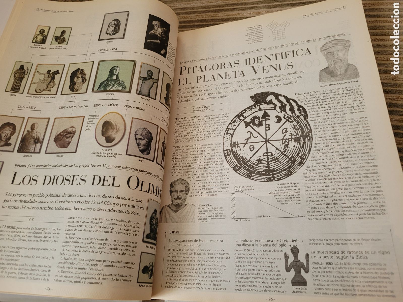 Libros de segunda mano: EL REPORTAJE DE LA HISTORIA, EL MUNDO - Foto 8