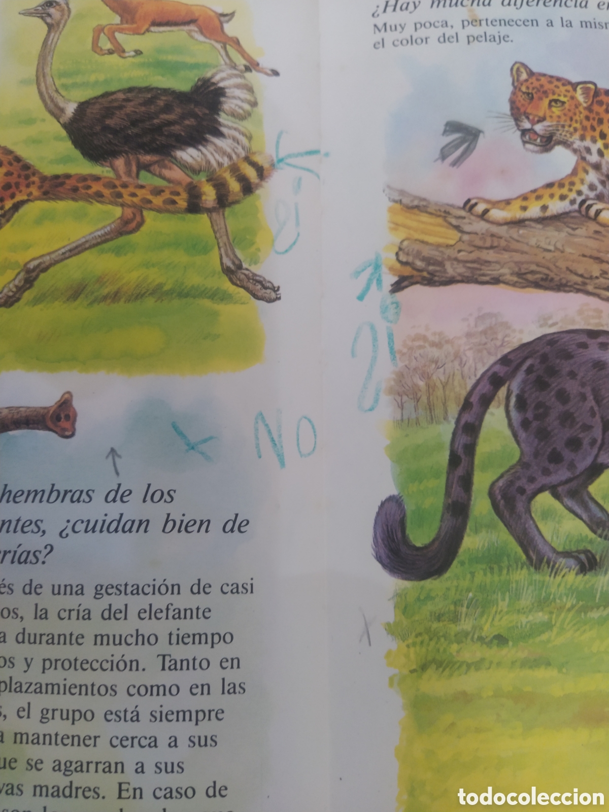 Libros de segunda mano: TODAS LAS RESPUESTAS SOBRE LA VIDA DE LOS ANIMALES - Foto 5