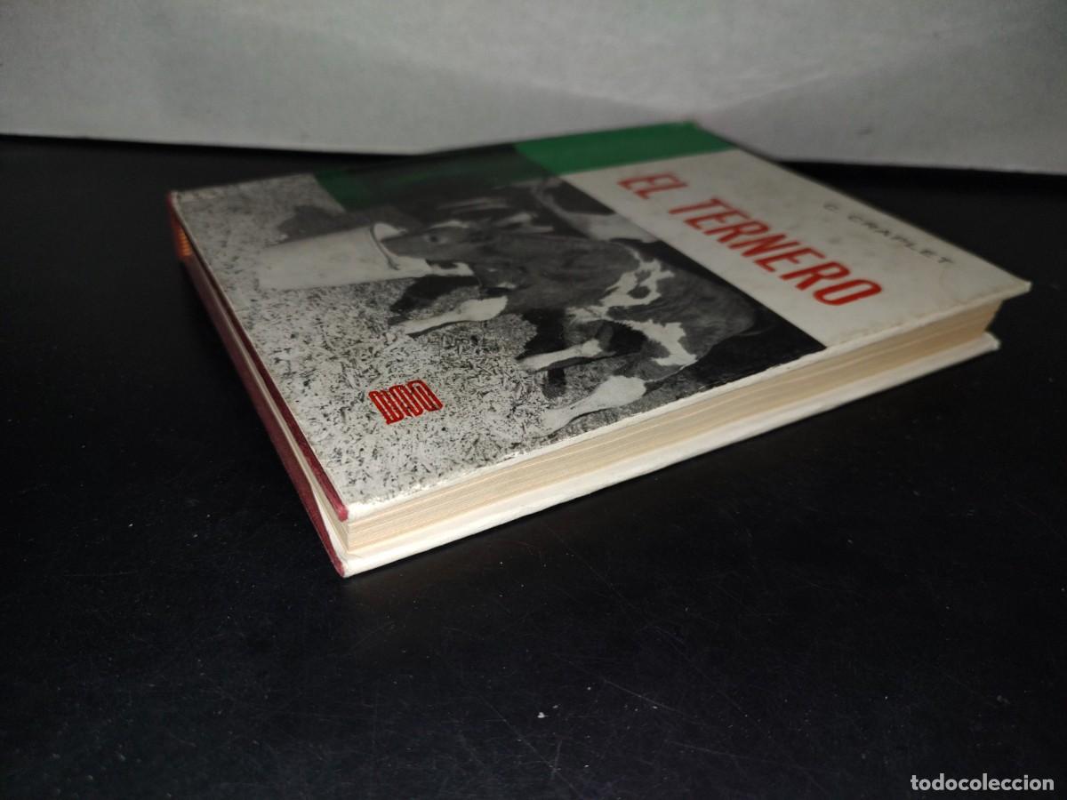 Libros de segunda mano: 114- EL TERNERO - C. CRAPLET. EDICIONES GEA, PRIMERA EDICI&Oacute;N 1969 - Foto 3
