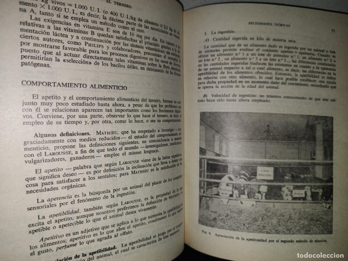 Libros de segunda mano: 114- EL TERNERO - C. CRAPLET. EDICIONES GEA, PRIMERA EDICI&Oacute;N 1969 - Foto 11