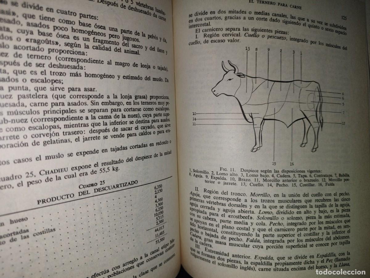Libros de segunda mano: 114- EL TERNERO - C. CRAPLET. EDICIONES GEA, PRIMERA EDICI&Oacute;N 1969 - Foto 12