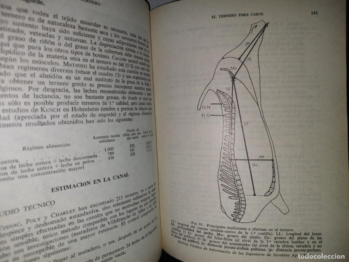Libros de segunda mano: 114- EL TERNERO - C. CRAPLET. EDICIONES GEA, PRIMERA EDICI&Oacute;N 1969 - Foto 13