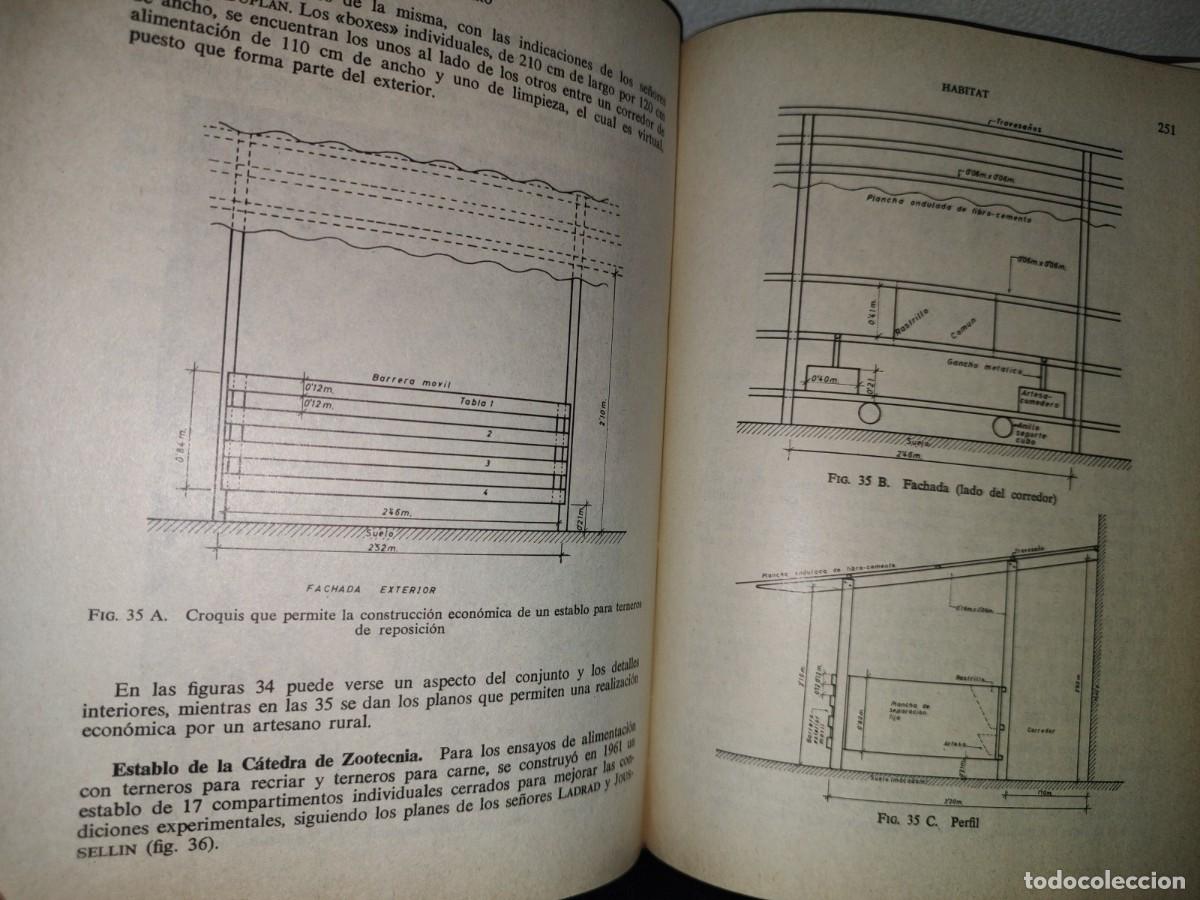 Libros de segunda mano: 114- EL TERNERO - C. CRAPLET. EDICIONES GEA, PRIMERA EDICI&Oacute;N 1969 - Foto 15
