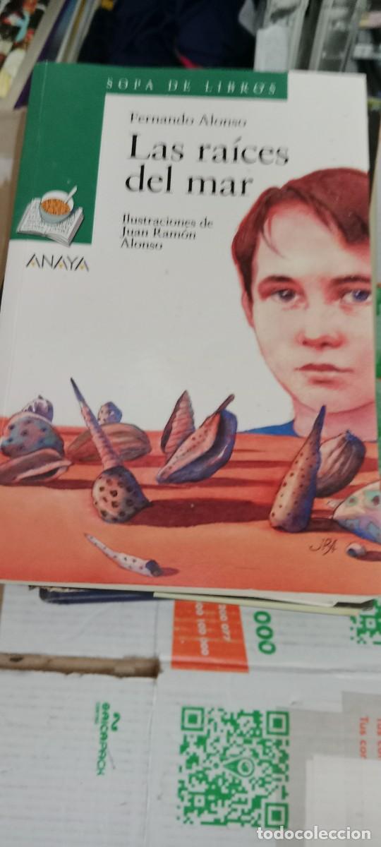 Libros de segunda mano: GG-GON LIBRO FERNANDO ALONSO LAS RAICES DEL MAR - Foto 1
