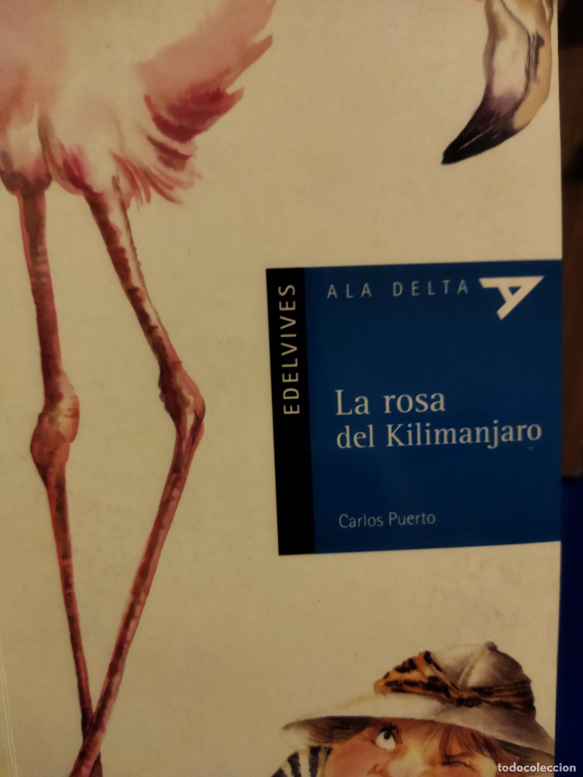 Libros de segunda mano: La rosa del kilimanjaro Carlos Puerto - Foto 1