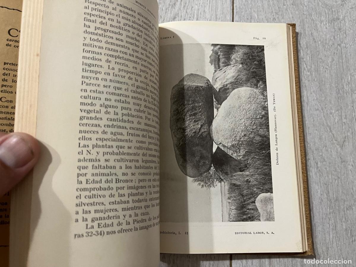 Libros de segunda mano: PREHISTORIA TOMO I LABOR - EDAD DE PIEDRA - Foto 5