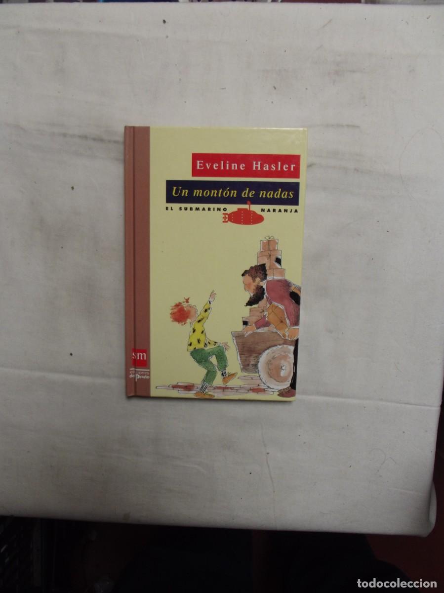 Libros de segunda mano: UN MONTON DE NADAS POR EVELINE HASLER - Foto 1