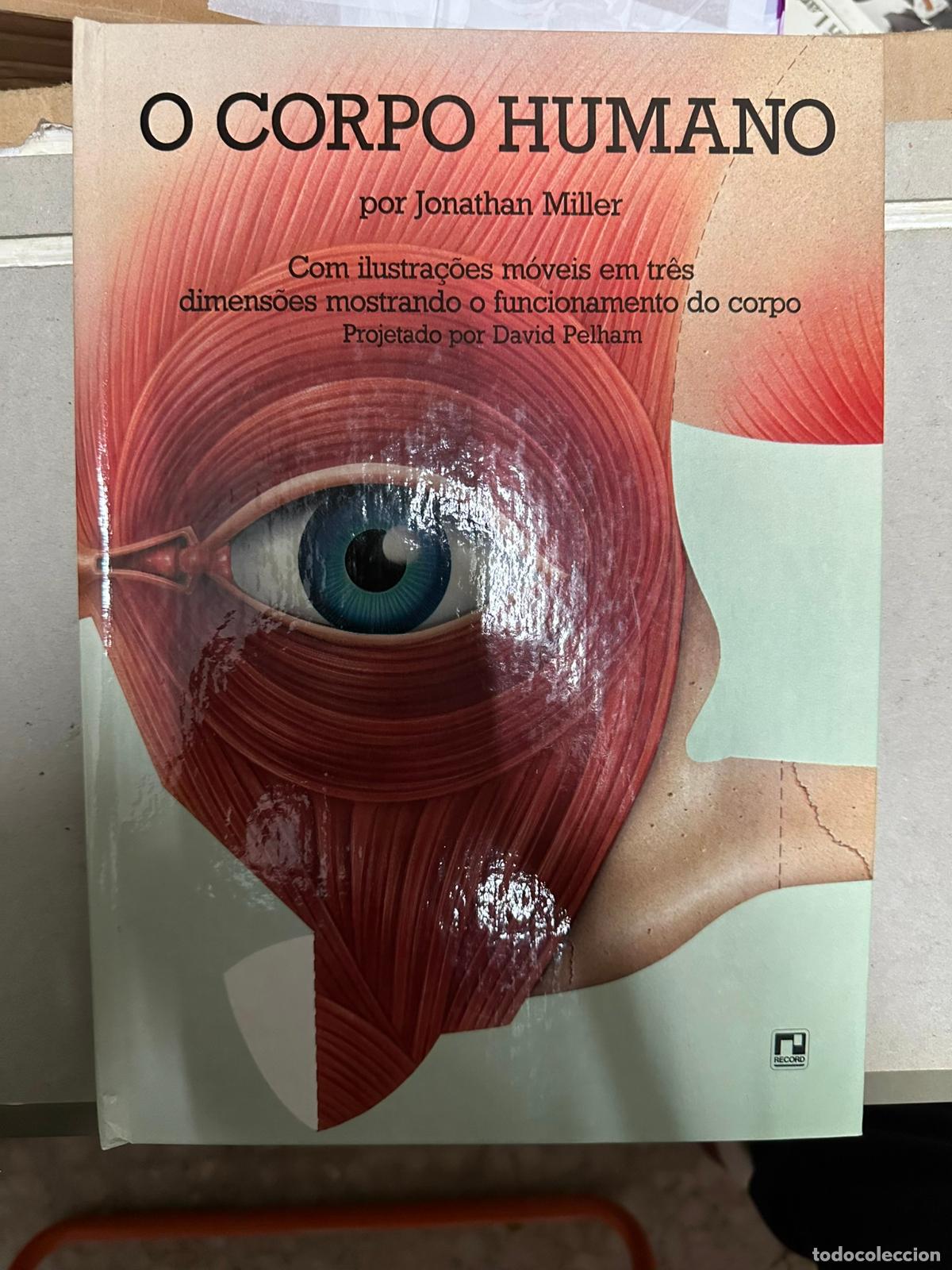 Libros de segunda mano: LIbro pop up en Portugues - O corpo humano JOnathan miller - Foto 1