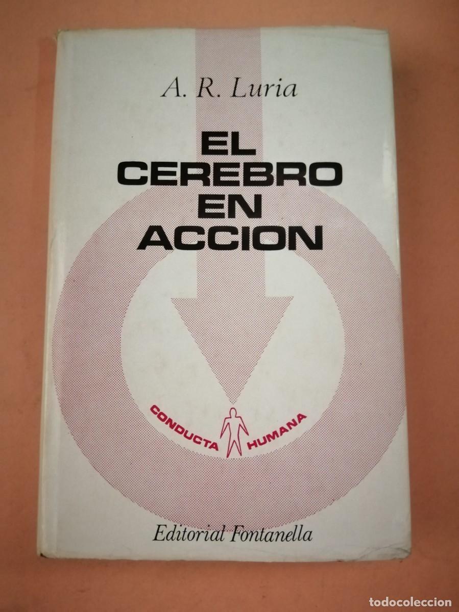Libros de segunda mano: EL CEREBRO EN ACCION (A. R., LURIA) - Foto 1