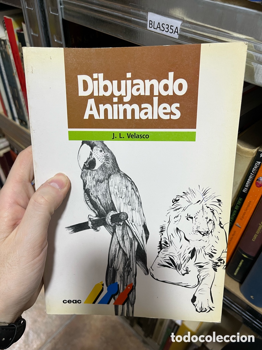 Libros de segunda mano: BLAS35A Dibujando Animales J. L. Velasco