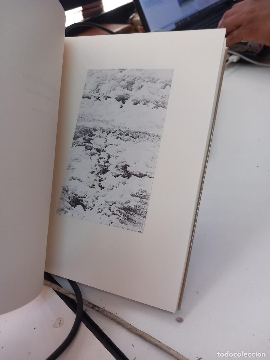 Libros de segunda mano: La m&eacute;moire des mots: Comment je lis Paul Celan - Foto 4