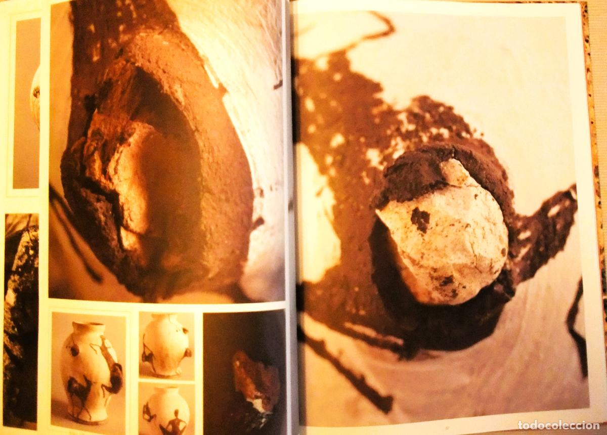 Libros de segunda mano: MIQUEL BARCEL&Oacute;, CONJETURAS SOBRE VASIJAS 2008 - Foto 5