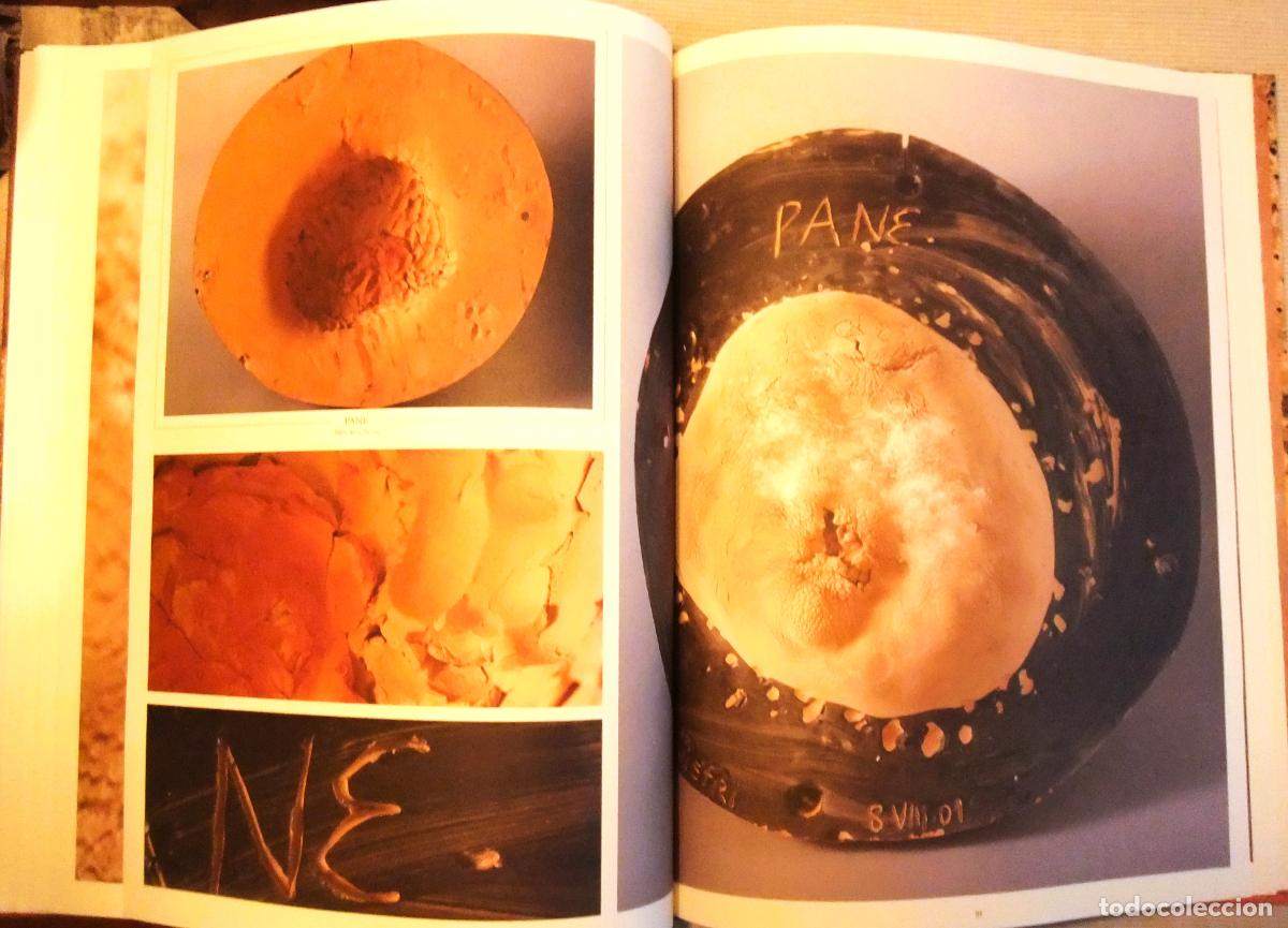Libros de segunda mano: MIQUEL BARCEL&Oacute;, CONJETURAS SOBRE VASIJAS 2008 - Foto 7