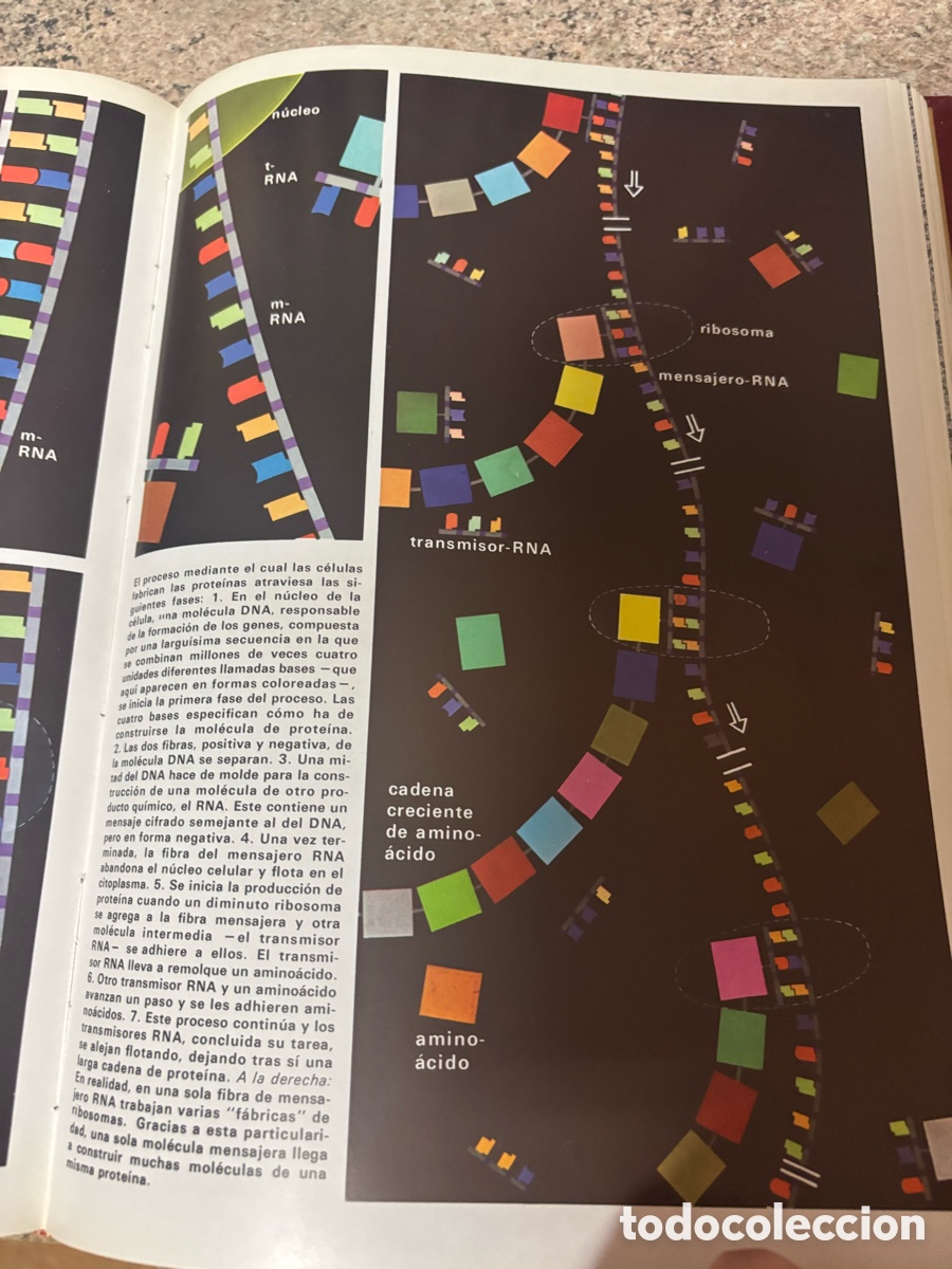 Libros de segunda mano: Enciclopedia Vida (5 tomos) - Foto 4