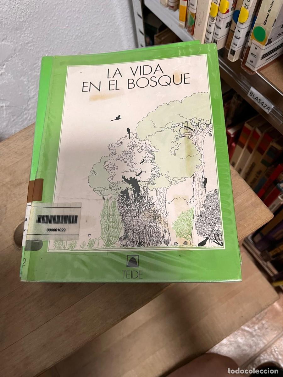 Libros de segunda mano: BLAS42A (libro de biblioteca) LA VIDA EN EL BOSQUE, EDITORIAL TEIDE - Foto 1