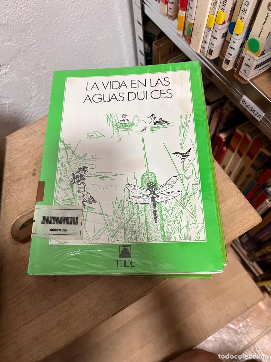 Libros de segunda mano: BLAS42A (libro de biblioteca) LA VIDA EN LAS AGUAS DULCES, EDITORIAL TEIDE - Foto 1
