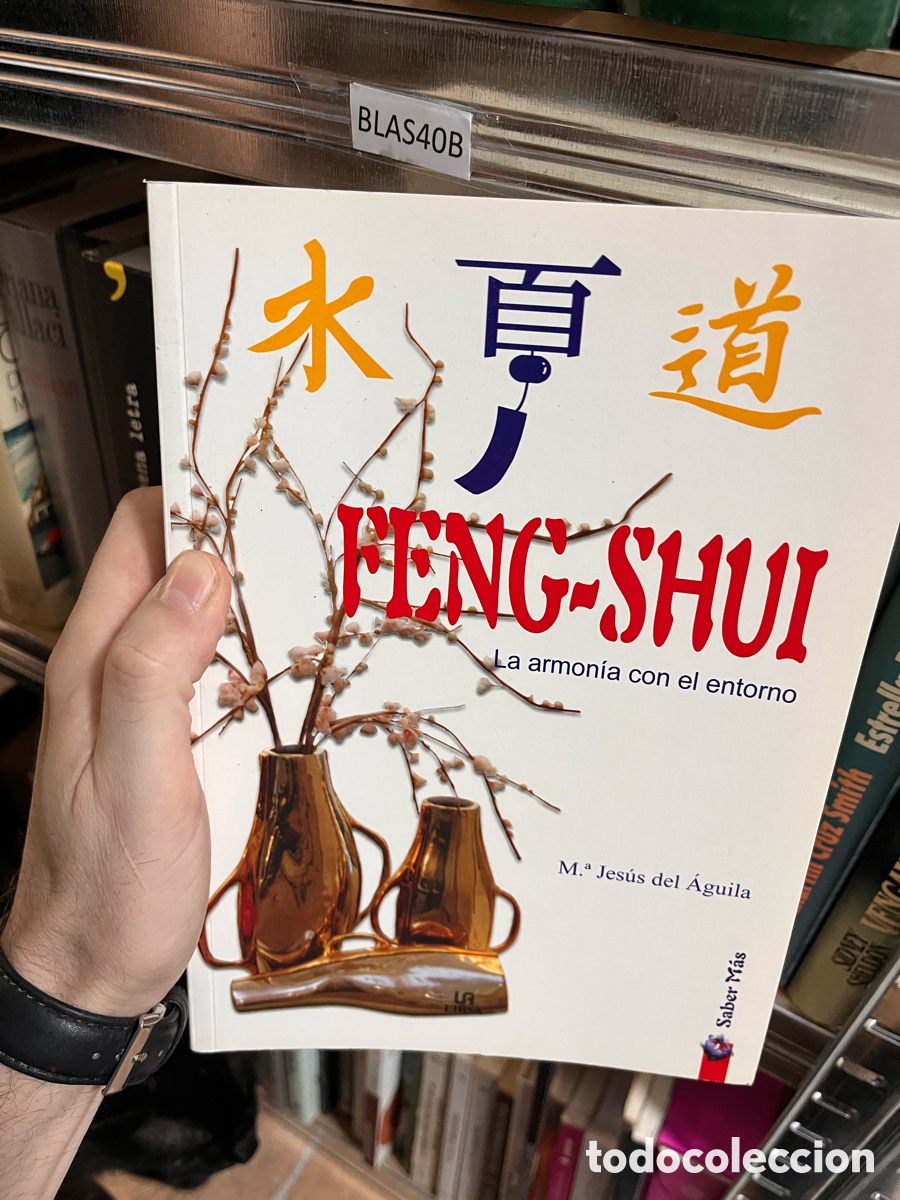 Libri di seconda mano: Blas40B Feng-shui: la armon&iacute;a con el entorno.- &Aacute;guila Castro, Mar&iacute;a Jes&uacute;s del