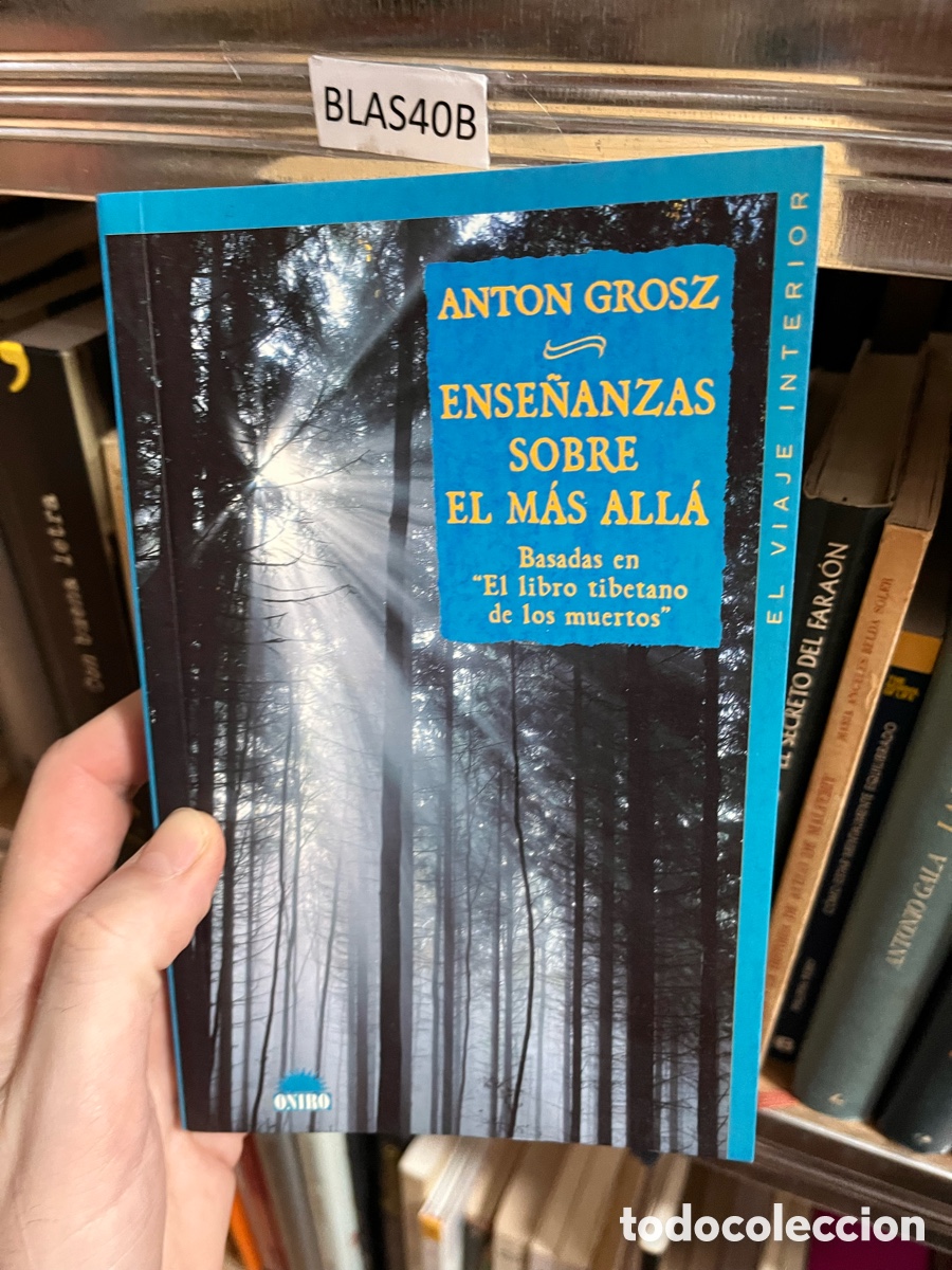 Libri di seconda mano: Blas40B ANTON GROSZ ENSE&Ntilde;ANZAS SOBRE EL M&Aacute;S ALL&Aacute; Basadas en &rdquo;El libro tibetano de los muertos&rdquo;