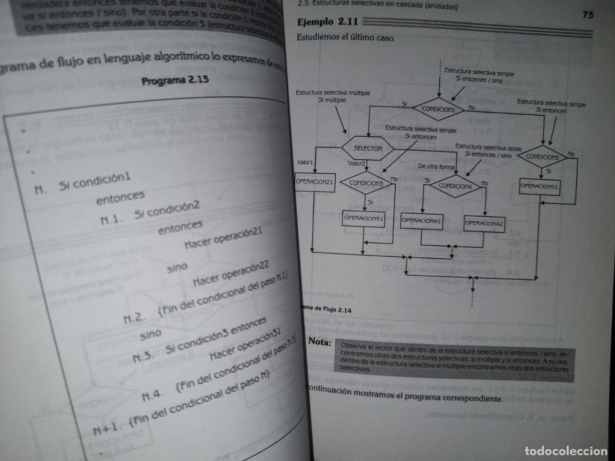 Libros de segunda mano: 155- METODOLOG&Iacute;A DE LA PROGRAMACI&Oacute;N. ALGORITMOS, DIAGRAMAS DE FLUJO Y PROGRAMAS - ALFAOMEGA - Foto 15