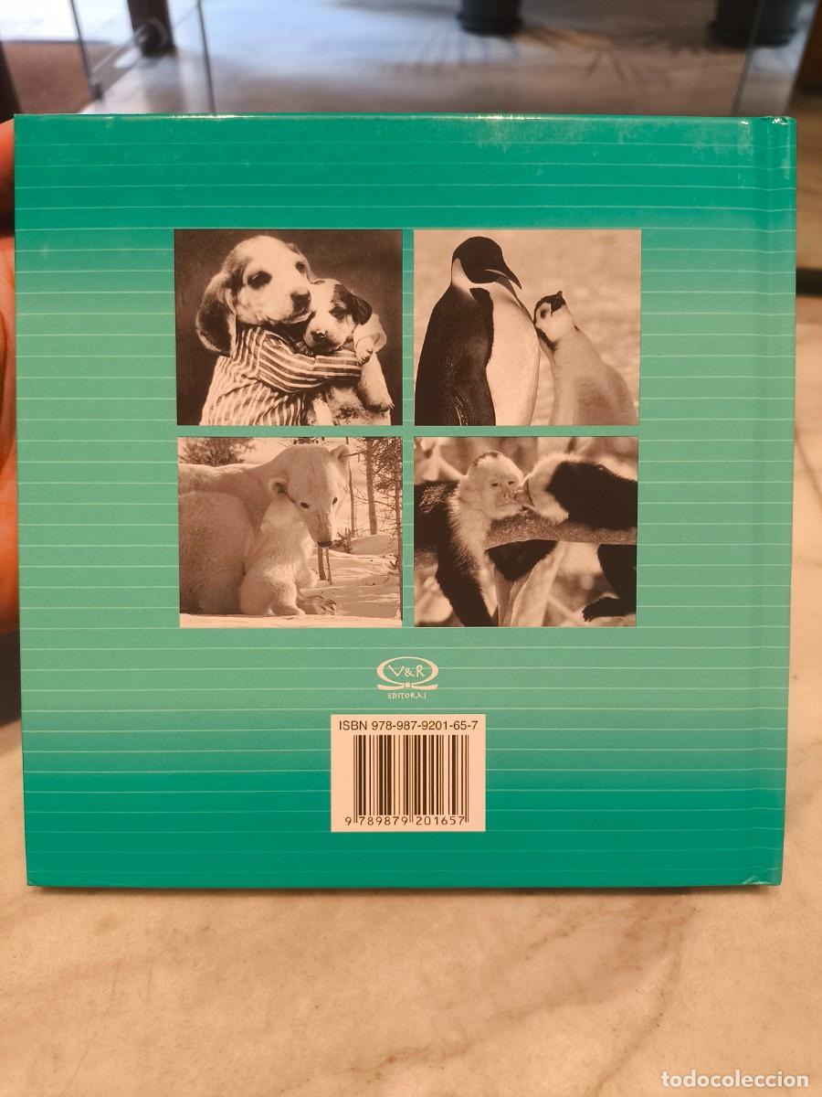 Libros de segunda mano: QUERIDO PAPA. PADRE AMIGO HEROE - BRADLEY TREVOR GREIVE - Foto 2