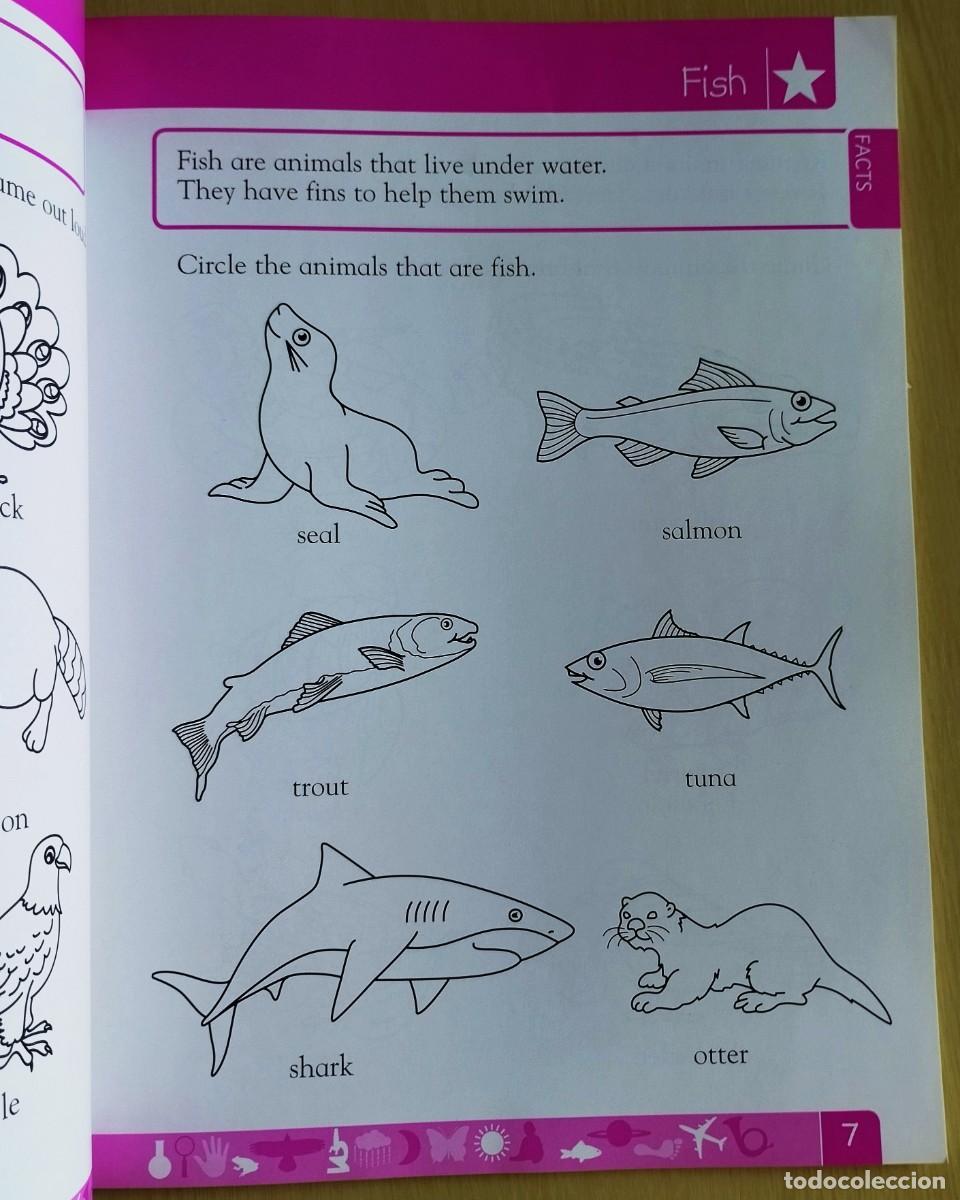 Libros de segunda mano: DK Workbooks: Science, Pre-K: Learn and Explore de Hugh Westrup - Foto 5