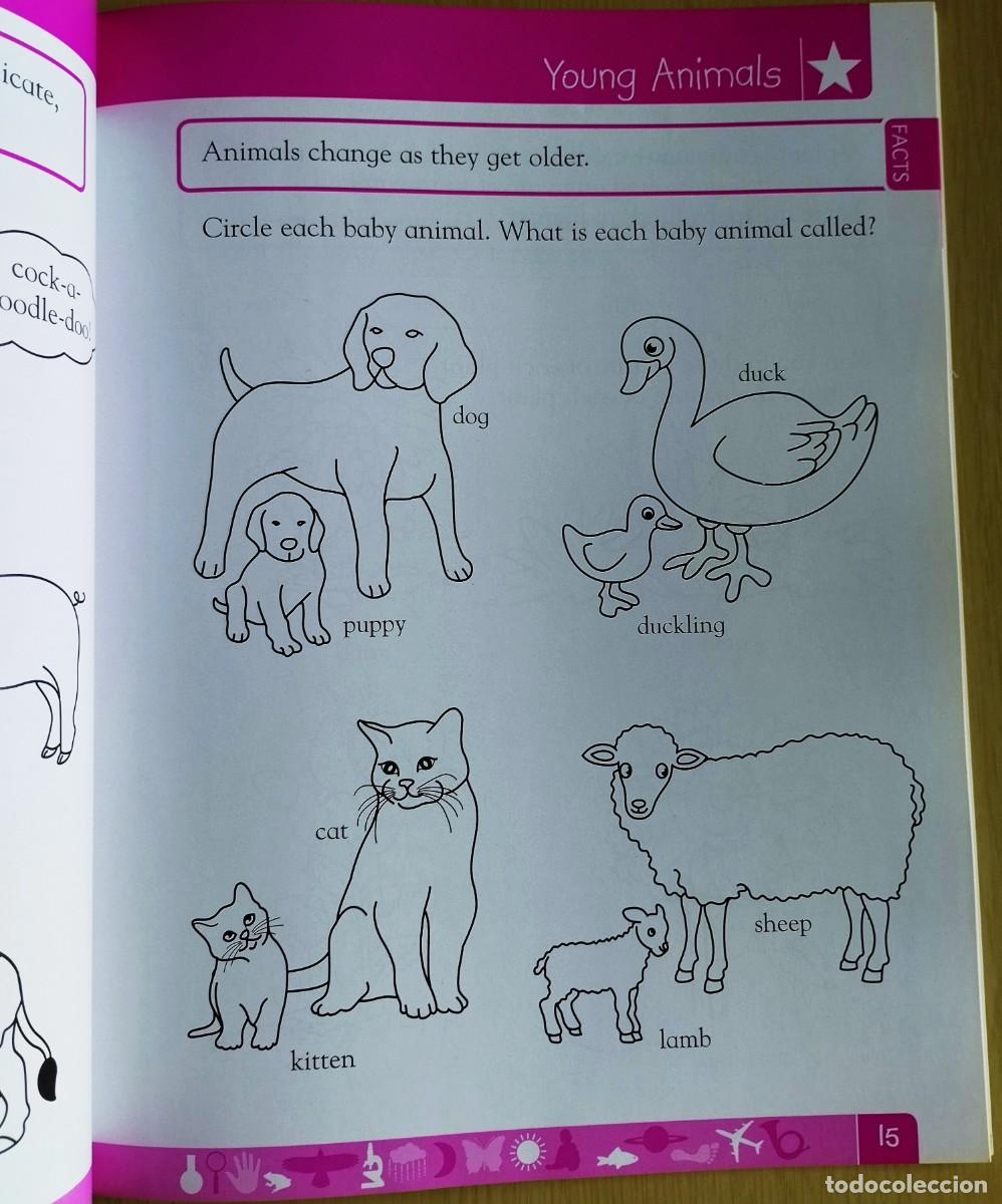 Libros de segunda mano: DK Workbooks: Science, Pre-K: Learn and Explore de Hugh Westrup - Foto 6