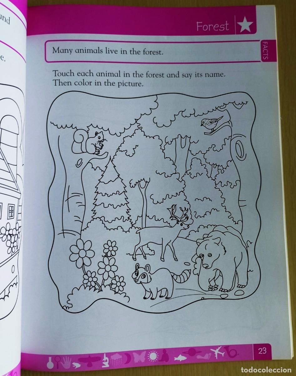 Libros de segunda mano: DK Workbooks: Science, Pre-K: Learn and Explore de Hugh Westrup - Foto 7