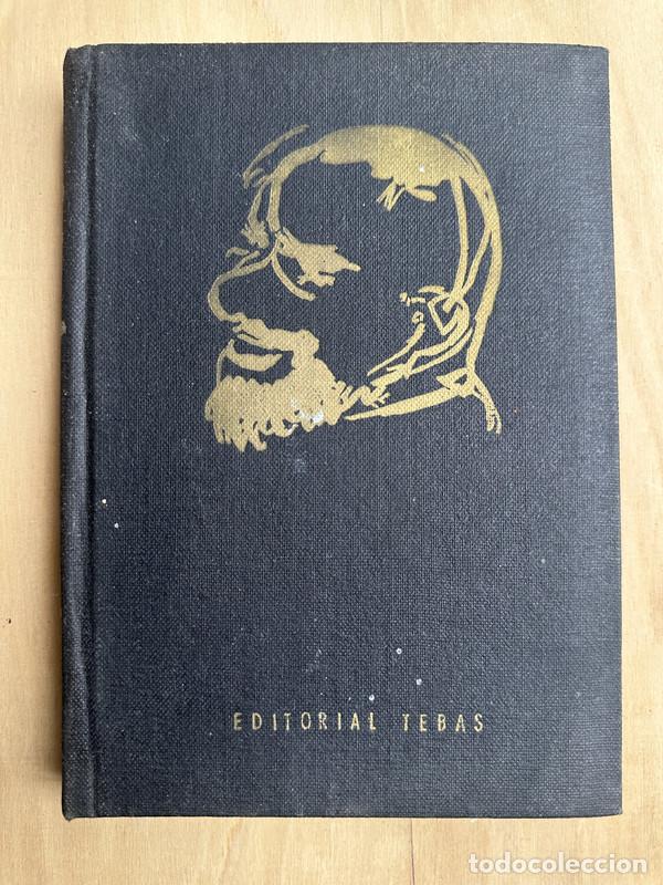 Libros de segunda mano: Toulouse- Lautrec - Natanson, Thadee - Foto 1