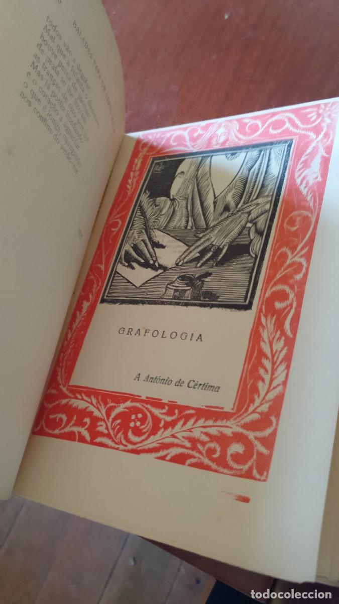 Libros de segunda mano: Baladas para um certo olhar 1925 Celestino Gomes - Foto 10