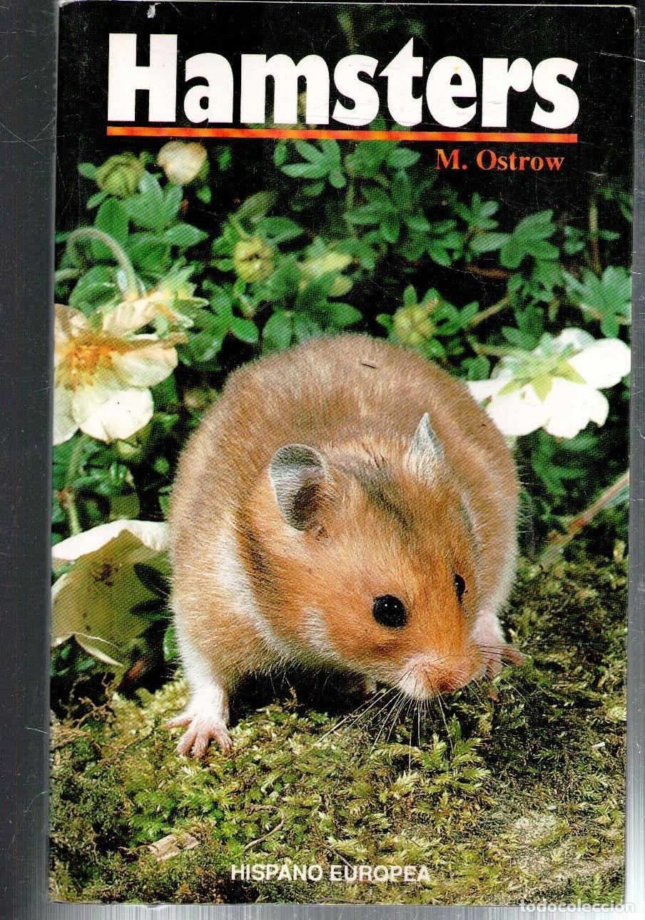 Libros de segunda mano: Hamsters, Ostrow - Foto 1