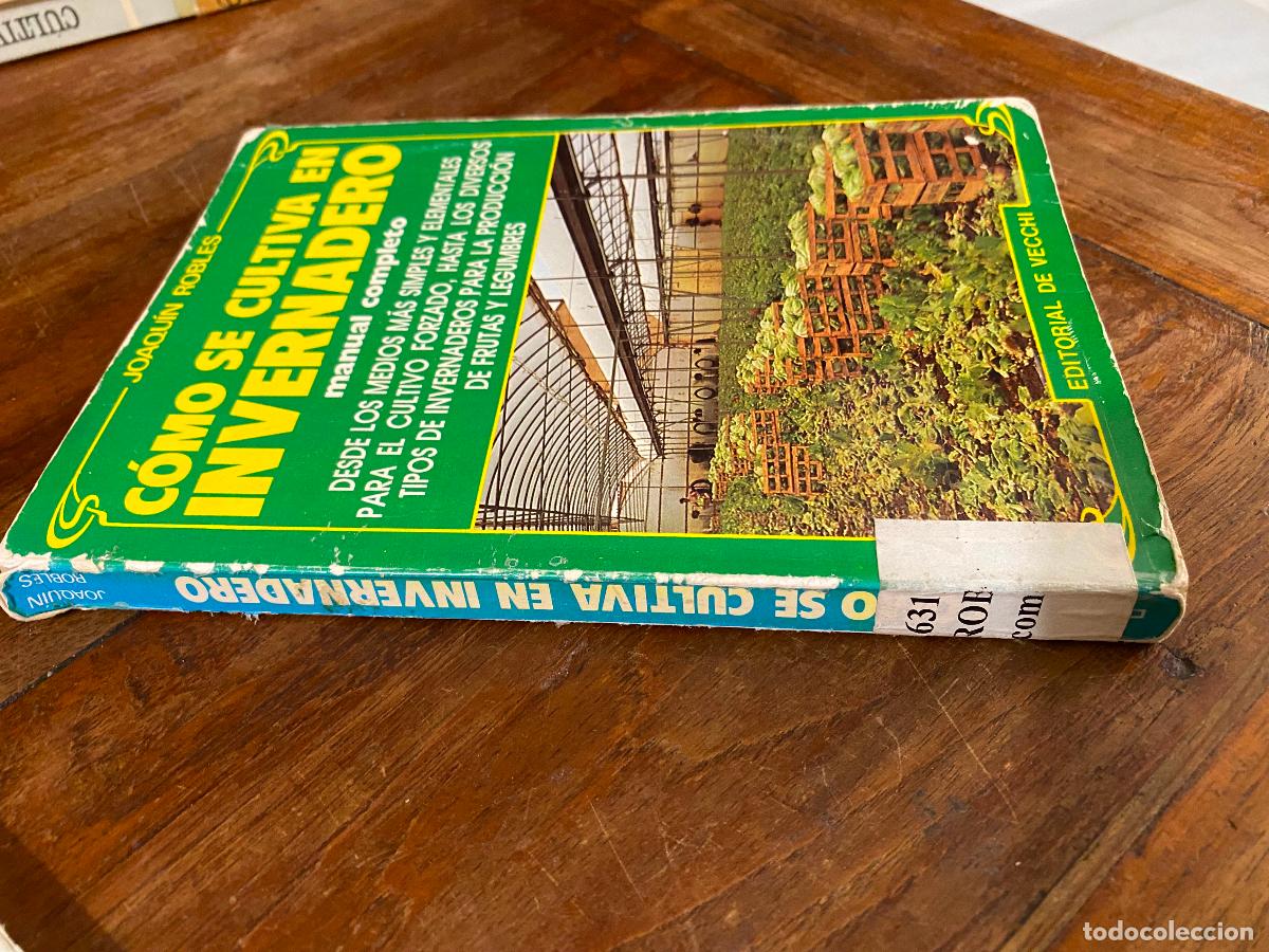 Libros de segunda mano: C&oacute;mo se cultiva en invernadero - Joaqu&iacute;n Robles - Foto 1