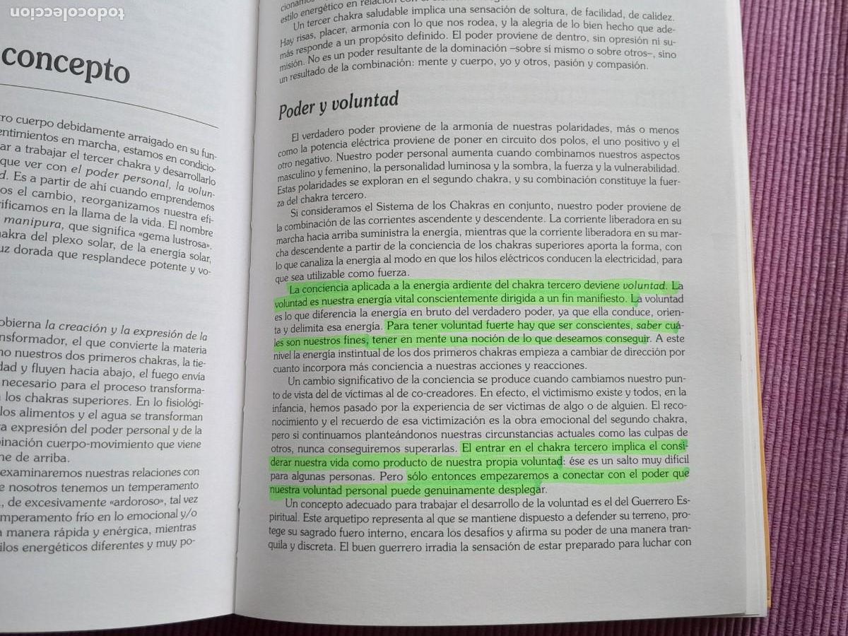 Libros de segunda mano: GUIA PRACTICA DE LOS CHAKRAS. ANODEA JUDITH Y SELENE VEGA, ROBIN BOOK 1995. - Foto 6