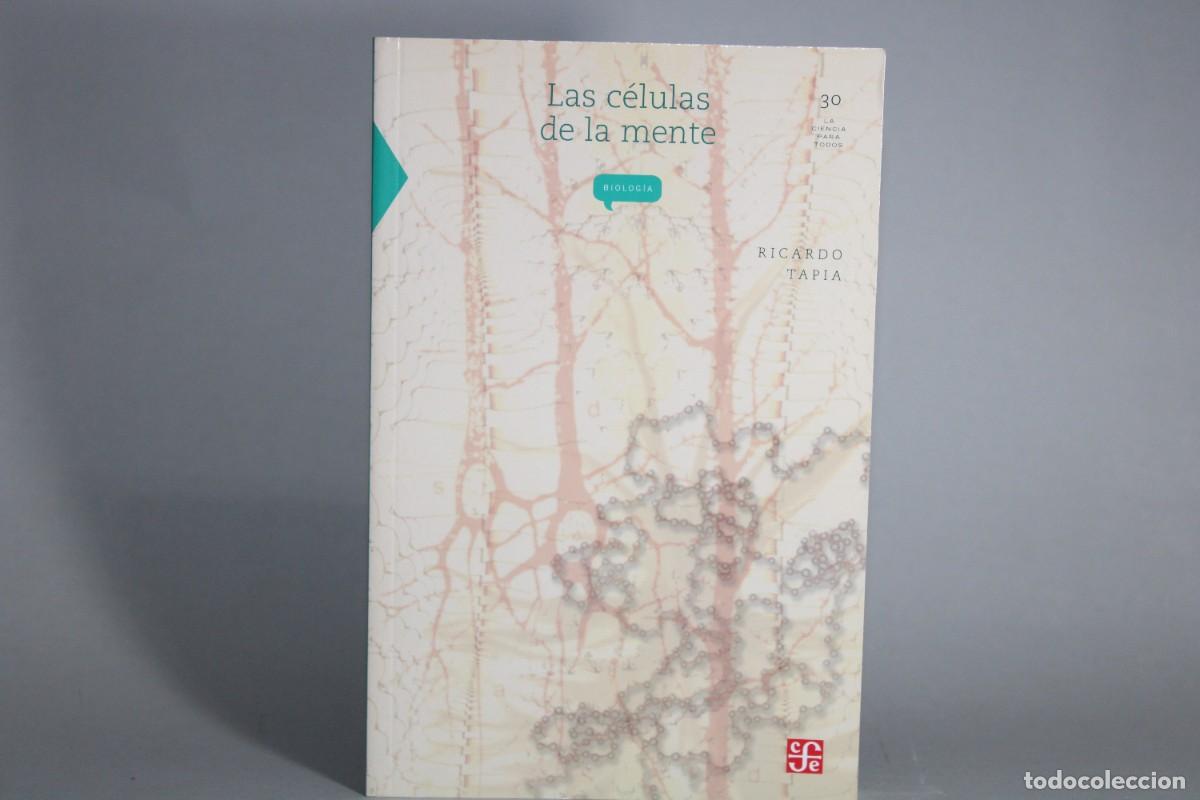 Libros de segunda mano: LAS CELULAS DE LA MENTE / RICARDO TAPIA - Foto 1