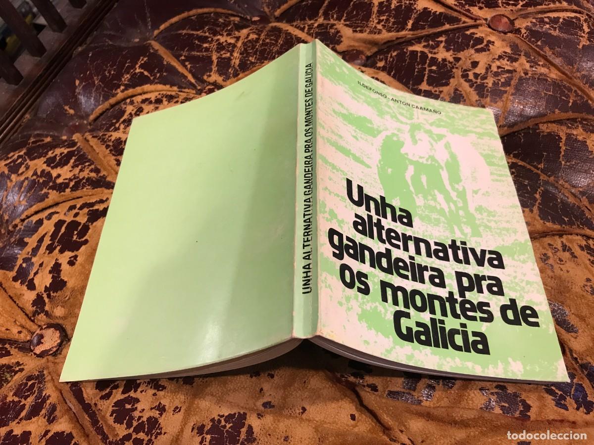 Second hand books: ILDEFONSO-ANT&Oacute;N CAAMA&Ntilde;O. UNHA ALTERNATIVA GANDEIRA PRA OS MONTES DE GALICIA 1981