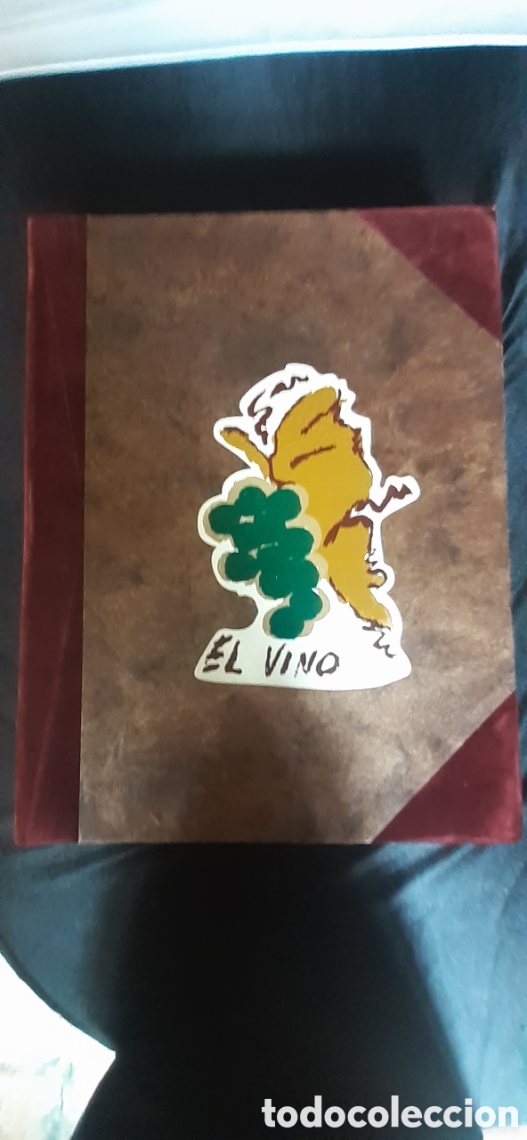 Libros de segunda mano: Libro El Vino, Impreso en 1993 - Foto 1