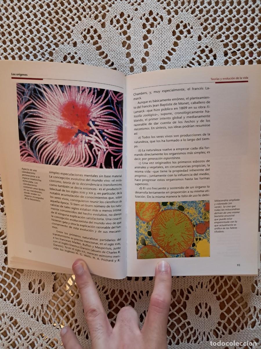 Libros de segunda mano: Historia universal tomo 1 Los or&iacute;genes - Foto 4