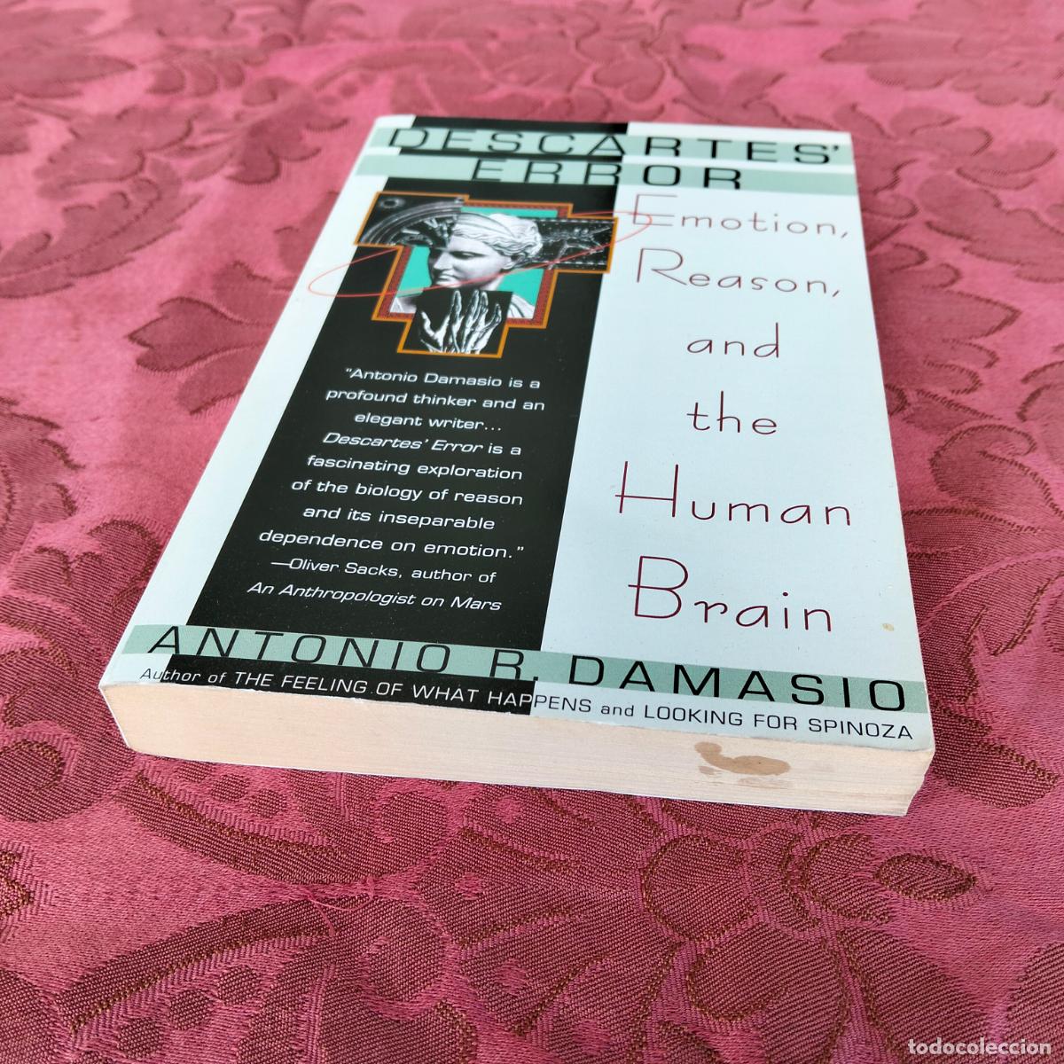 Libros de segunda mano: Descartes error, emotion reason and the human brain Antonio R Damasio - Foto 2