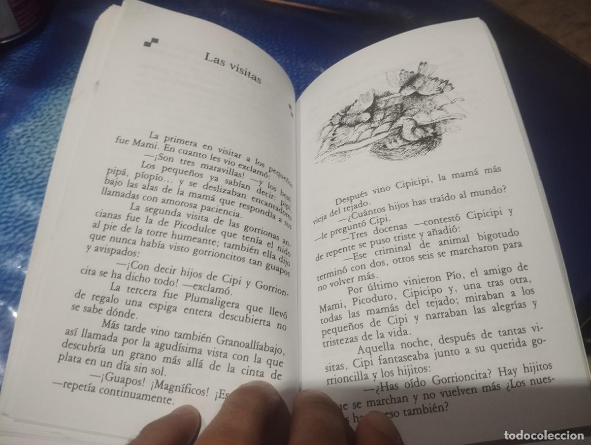 Libros de segunda mano: CIPI MARIO LODI ED. ALFAGUARA 2008 - Foto 3