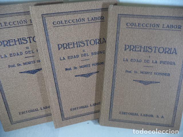 Libros de segunda mano: PREHISTORIA - MORIT HOERNES - Foto 1