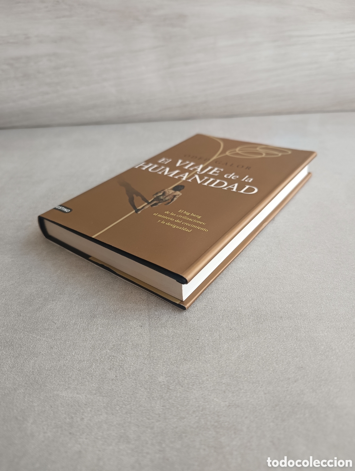 Libros de segunda mano: El viaje de la Humanidad. Oded Galor. - Foto 8