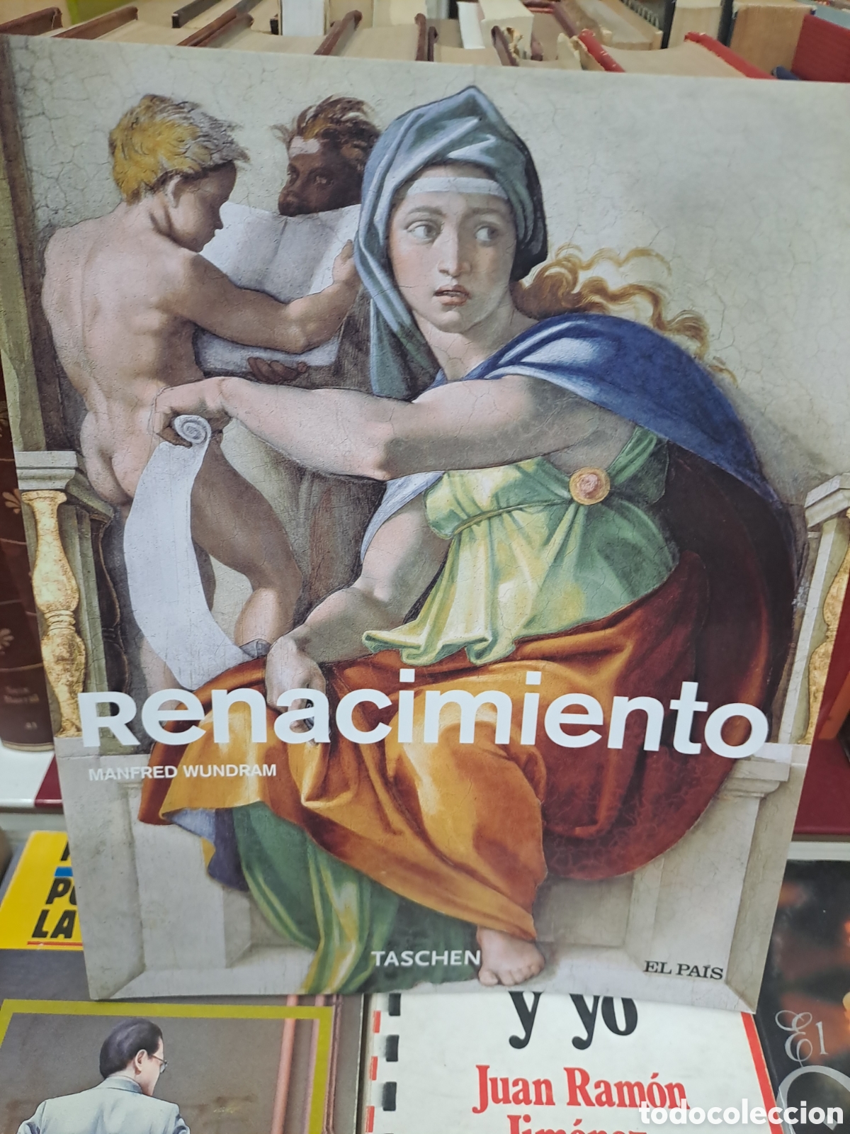 Libros de segunda mano: RENACIMIENTO - MANFRED WUNDRAM - TASCHEN. EL PAIS - Foto 1