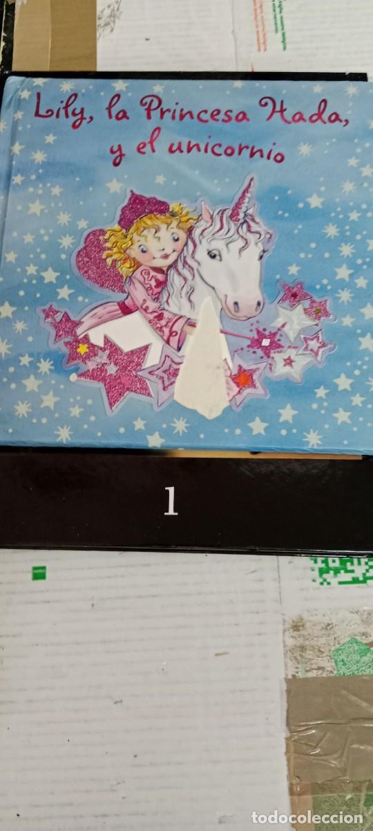 Libros de segunda mano: E-FIG LIBRO LILY LA PRINCESA HADA Y EL UNICORNIO - Foto 1