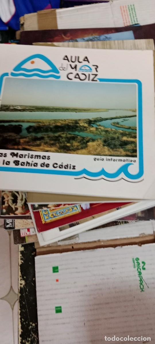 Libros de segunda mano: E-FIG LIBRO LAS MARISMAS LA BAHIA DE CADIZ - Foto 1