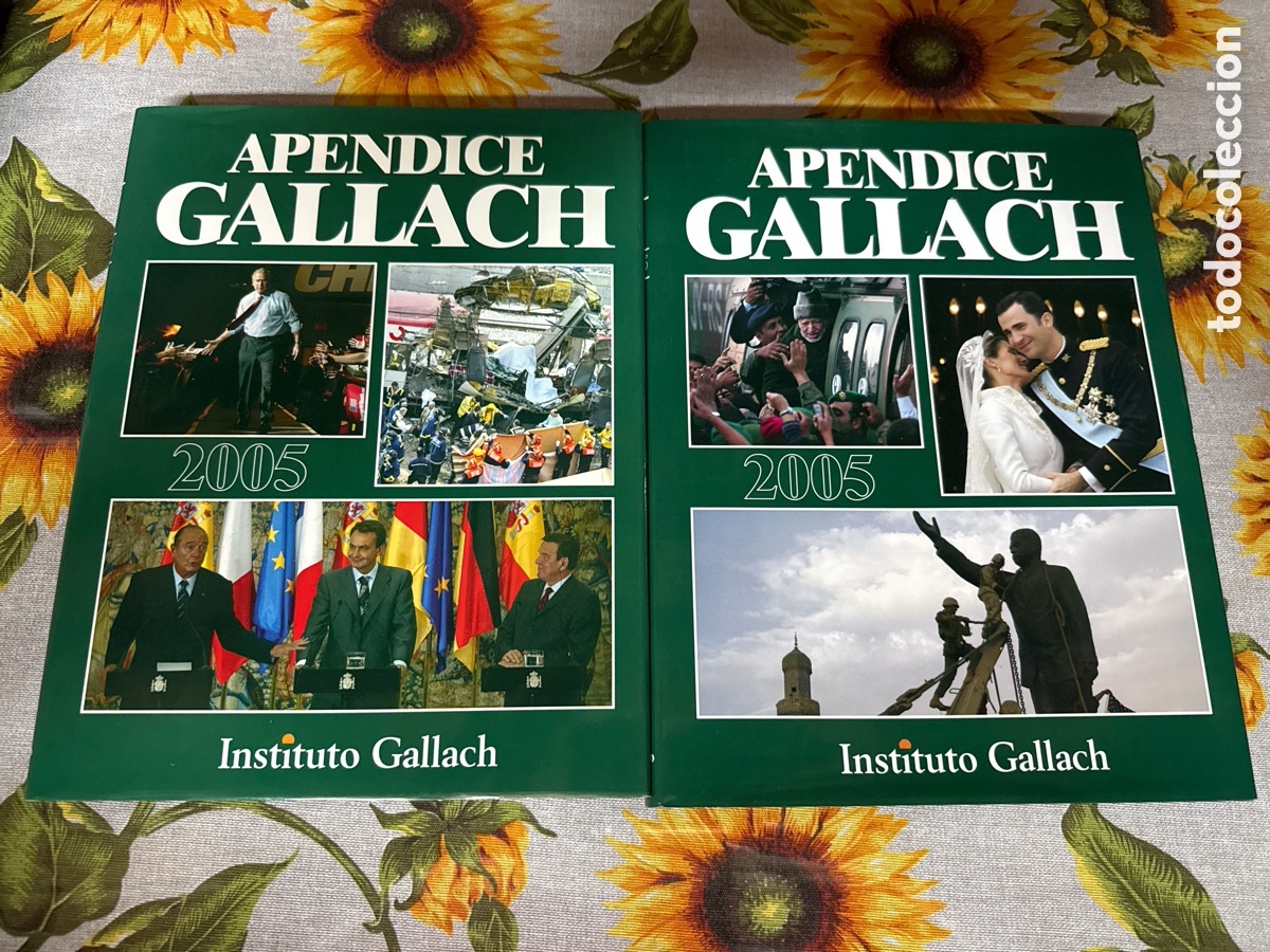 Libros de segunda mano: Ap&eacute;ndice Gallach 2005. 2 Tomos.